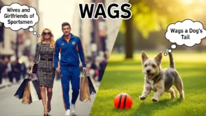 wags meaning