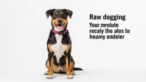 raw dogging meaning